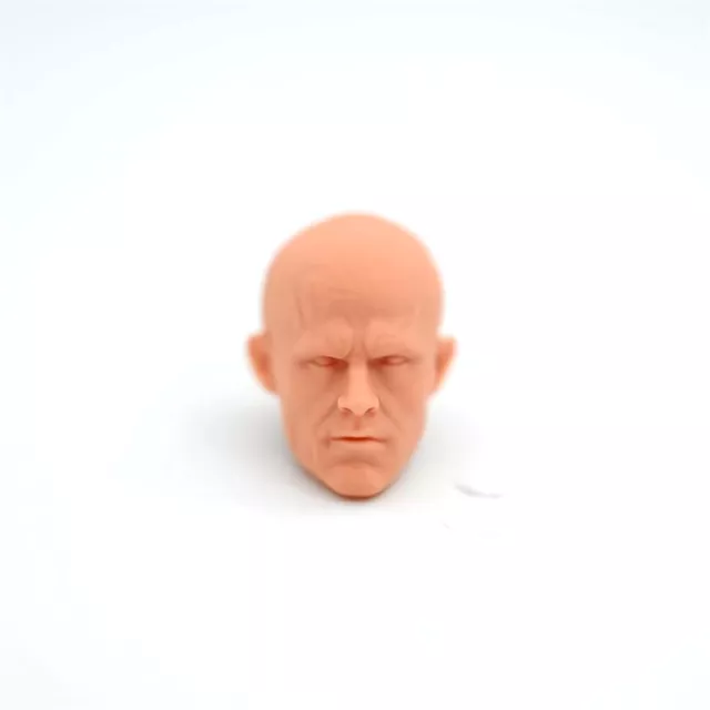 1/10 Scale Without Hair Ryan Reynolds Head Sculpt Unpainted Fit 7" Neca Figure