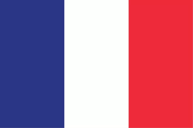 French FLAG 3M USA Made CAR TRUCK WINDOW 3M DECAL STICKER WALL HELMET