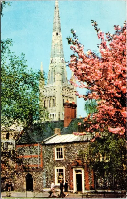 Norwich Cathedral Upper Close Unposted Vintage Postcard