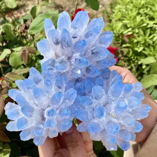 2.6LB New Find BLUE Phantom Quartz Crystal Cluster Mineral Specimen Healing-Y