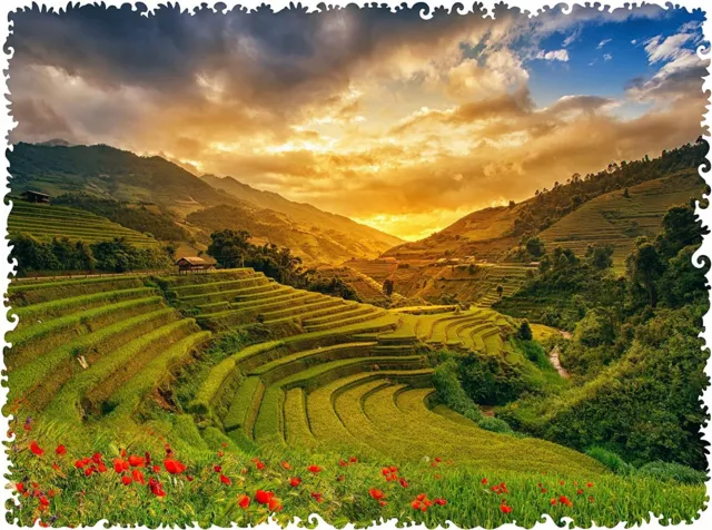 UNIDRAGON Original Wooden Jigsaw Luxury Puzzles Nature Rice Fields 250pcs Medium