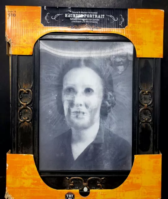 Gemmy Halloween Picture Frame Portrait Red Eyes Lights Sounds Motion SEE VIDEO !