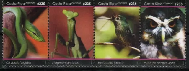 Costa Rica Stamp 609  - 1 insect, 1 snake, 2 birds