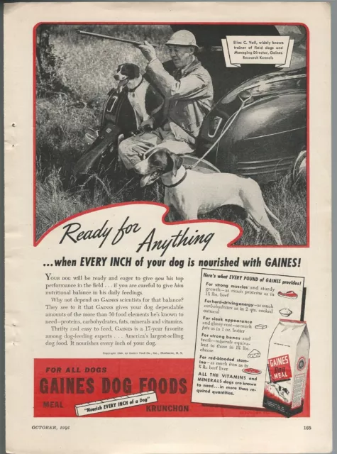 1946 GAINES DOG FOOD advertisement, field dogs, Gaines print ad