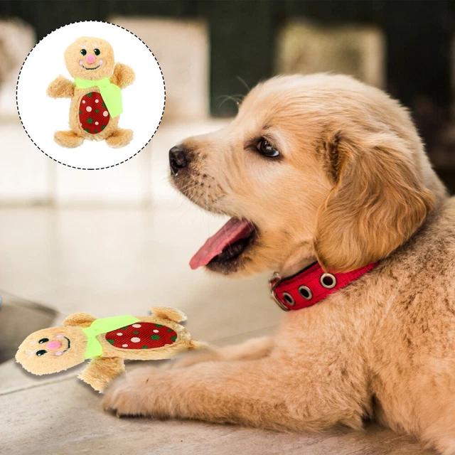 Jouet De Dentition Pour Chiot Jouets Noël Animaux Compagnie Animal