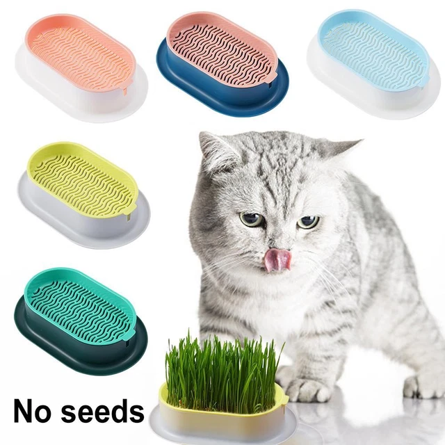 Scatola idroponica piantagione snack gatto menta scatola erba gatto scatola erba V8A5