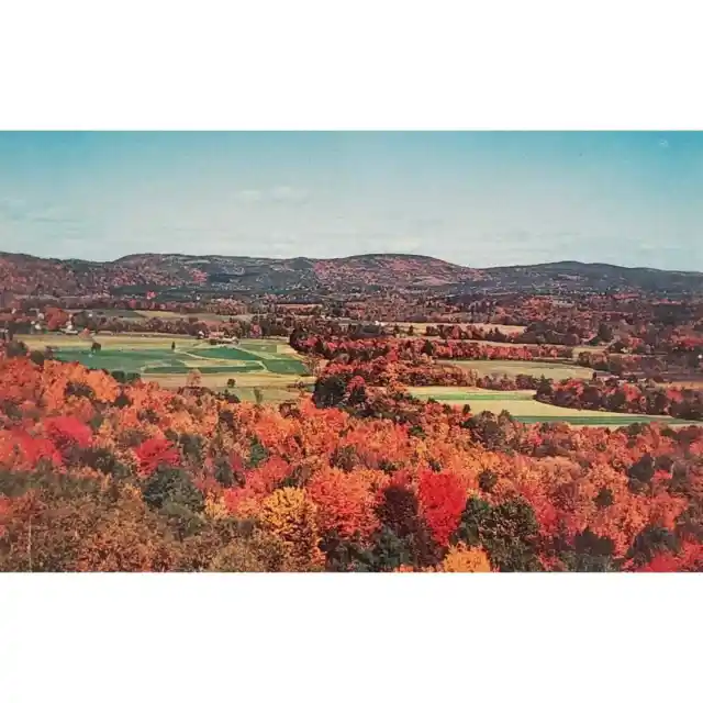 Greenfield Valley Toward NH Longview Mohawk Trail MA Postcard Autumn