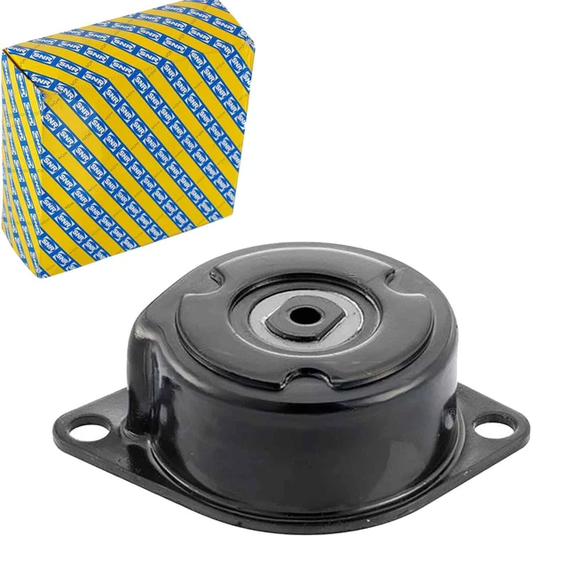 SNR Tendeur de Courroie Poulie Trapézoïdiale pour Audi 80 A6 Cabriolet Ford