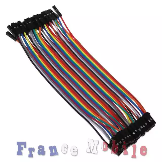 Kit 40 Cables Dupont 20cm Double Femelle Solderless Wire pour BreadBoard Arduino