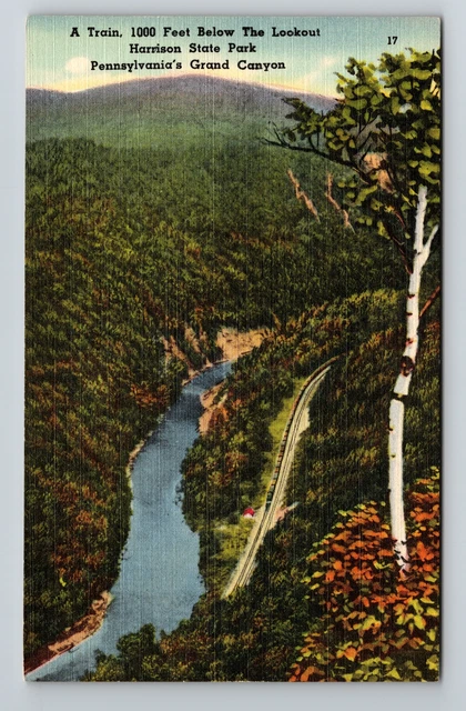 Harrison State Park PA- Pennsylvania, Train Below, River, Vintage Postcard