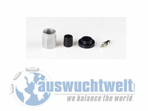 TPMS Service Kit Soupape pour Capteur 60311-67 Fiat, Lancia, Citroen Et Peugeot