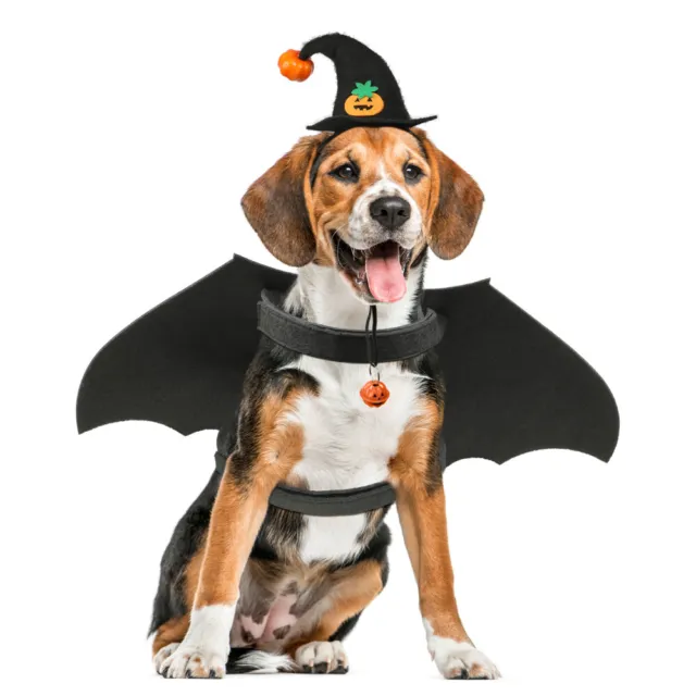 Provato Vestito Da Pipistrello Per Cani Cappello Mago Gatto Costumi Cosplay