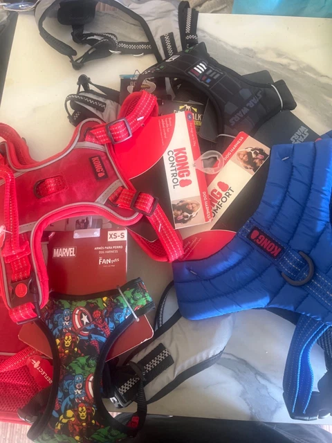 Kong harness best sale xs