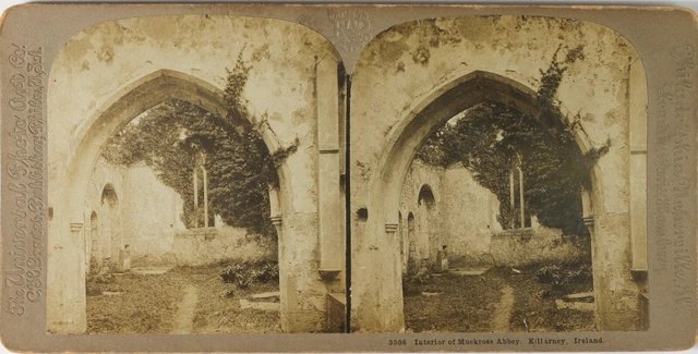 Irland Killarney Muckross Abbey Innen Anhänger Foto Stereo Analog PL60L11