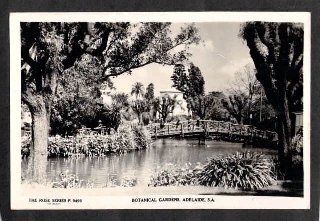 C3520 Australia SA Botanic Gardens Adelaide #9496 vintage Rose Series postcard