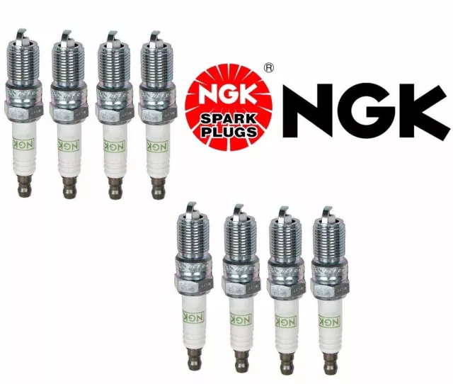 Set Of 8 NGK 3403/TR55GP G-Power Premium Platinum Spark Plugs Made In Japan