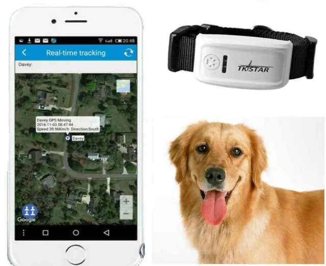 Collar Localizador GPS para Perros ¡2 Años de Garantia! 2