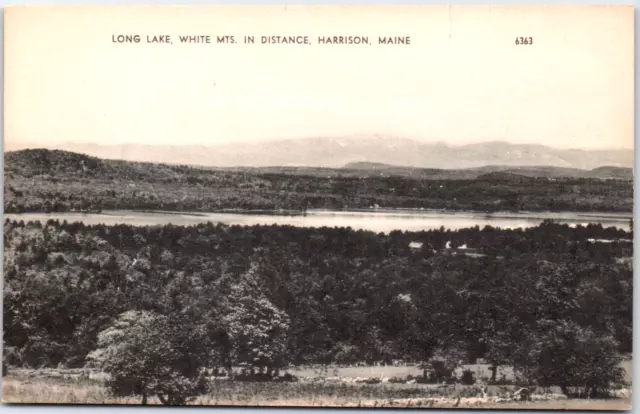 Harrison Maine ME Long Lake View Of White Mountains In Distange Vintage Postcard