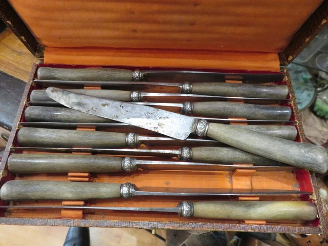 Service de 12 anciens couteaux de table - Sélection Brocante