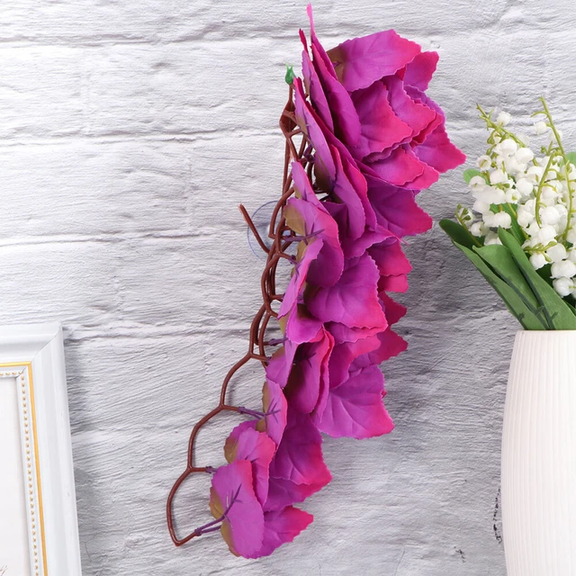 Semi Di Campanella Rampicante (Ipomoea Tricolor) | 1,95