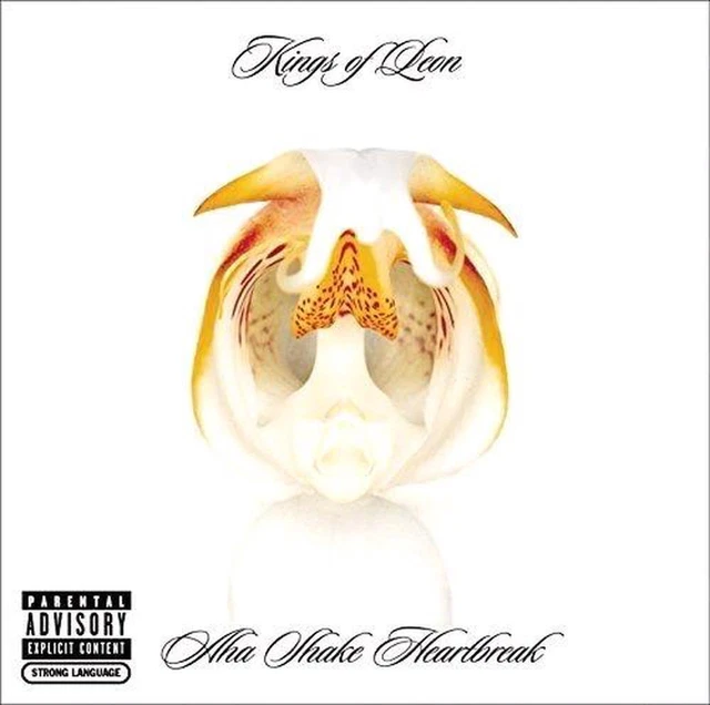 Aha Shake Heartbreak - Kings Of Leon Vinyl