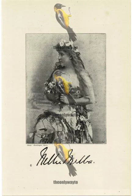 Nellie Melba, Opera Singer, Book Illustration (Print), 1895