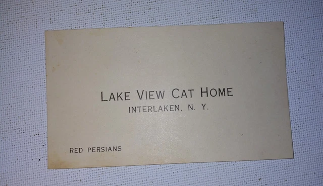 Vintage Cat Breeder Business Card Lake View Cat Home Interlaken Ny Red Persian