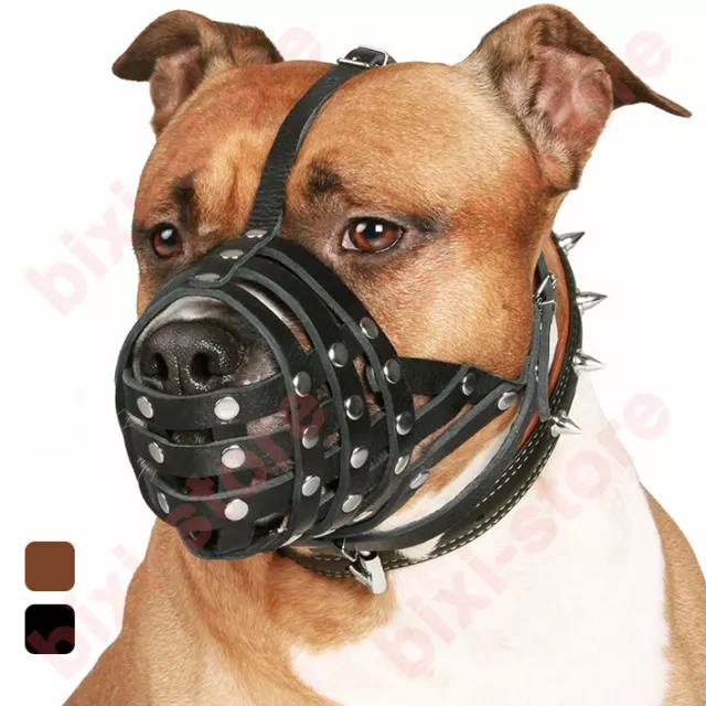 PitBull Dog Muzzle Leather AmStaff Muzzles Staffordshire Terrier Secure Basket