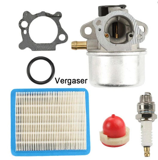VERGASER FÜR BRIGGS & Stratton Quantum 498170 799868 498254 498255 497586 698444 EUR 13,00