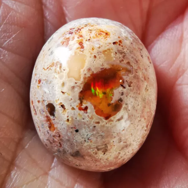 1,5€/ct Opale de feu du Mexique cantera orange cabochon 24 cts flashs verts
