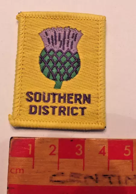Vintage Boy Scouts Southern District County Area Badge (E)