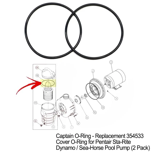 SET OF 2 O Ring Seals Replacement for Pentair Dynamo/Sea Horse Pool