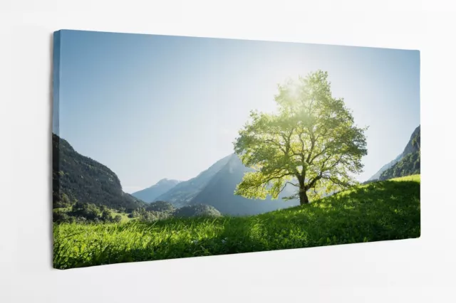 Impression sur toile Paysage calme dans les Alpes, arbre, herbe et montagnes, S