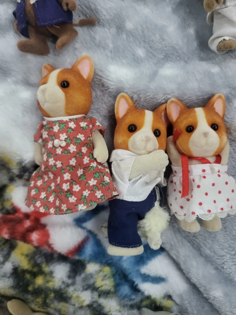 SYLVANIAN FAMILIES FIGURE famiglia e bambino cane acero NUOVE Calico