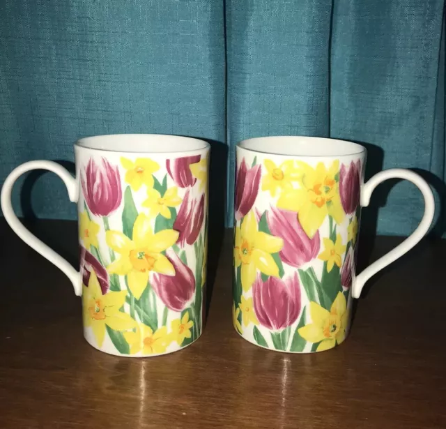 Dunoon Stoneware Mug Tulip And Daffodils ‘Primavera’by Helen Sandiford, Scotland
