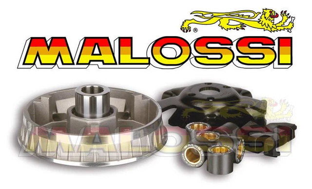 VARIATEUR MALOSSI MULTIVAR KYMCO 125 GRAND DINK Bet Win Malaguti F18 Beta Eikon