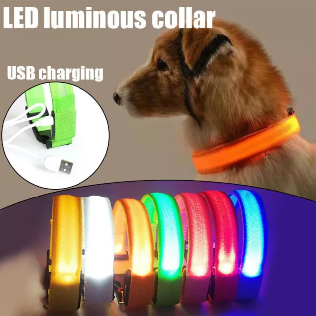 USB Rechargeable LED Dog Collar Nylon Glow Flashing Light Up Safety Pet Collars