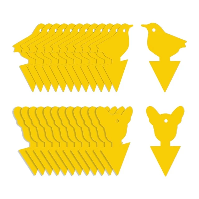 24 Pcs Traps for Fruit Fly,Whitefly, Gnat,Mosquito and Bug, Insect Catcher  A5U1