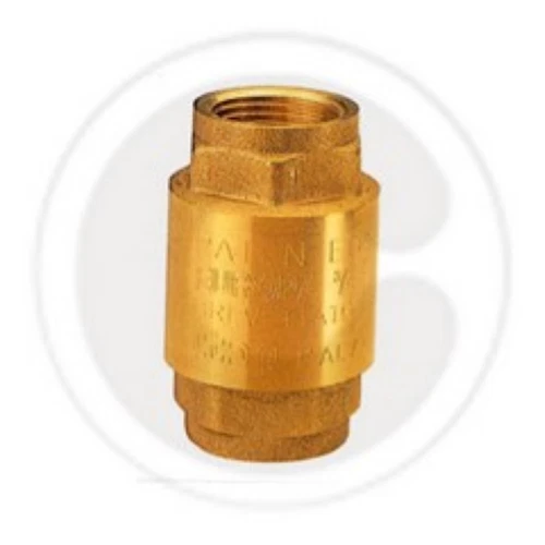 ITAP Mod. 100 – Valvola Di Ritegno Europa Diametro 2" 1/2