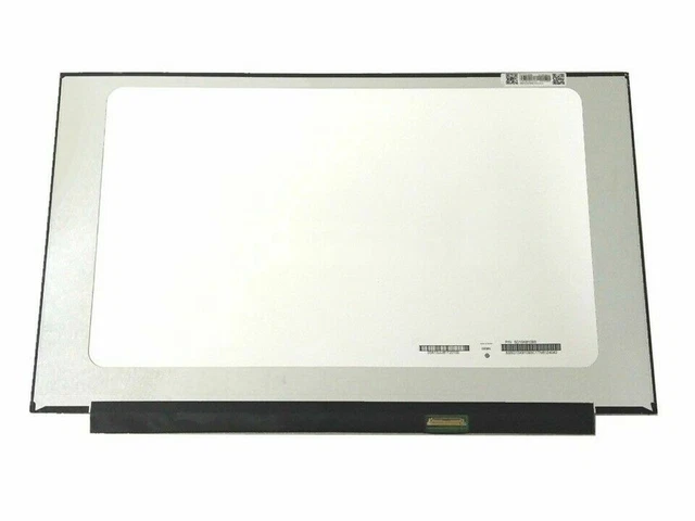165HZ DISPLAY DELL Alienware m15 Ryzen Edition R5 P109F002 15.6