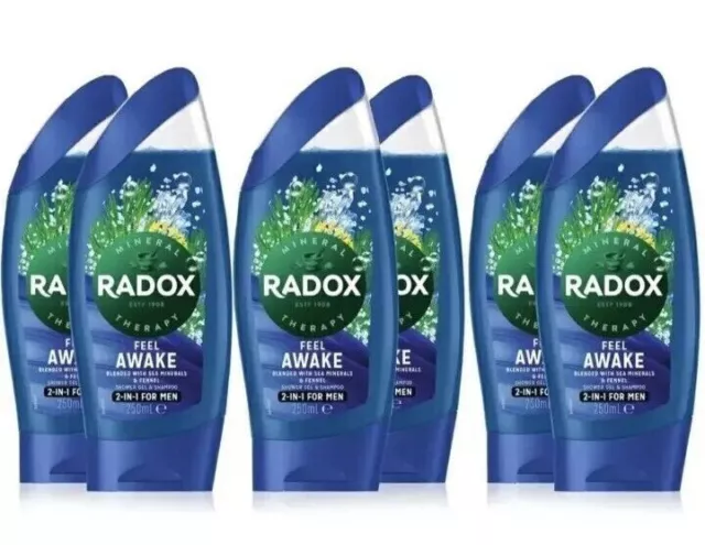 Discontinued 6 X Radox Feel Awake 2 In 1 Shower Gel / Shampoo With Hook - 250Ml-