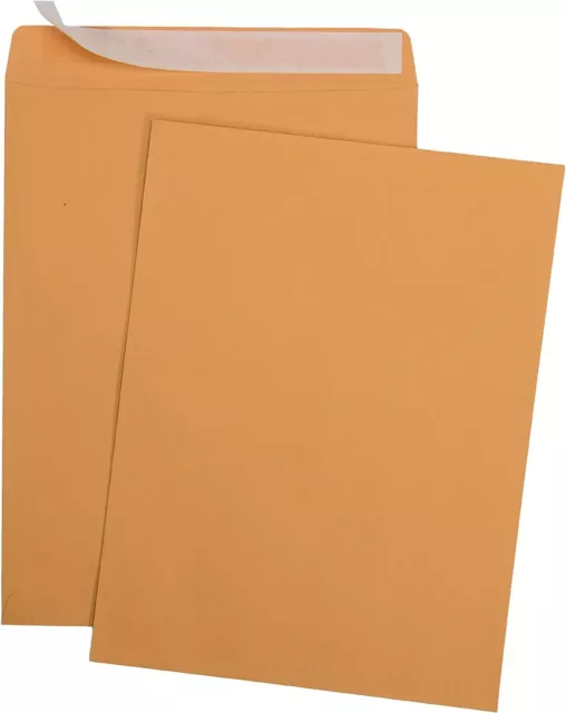 9 X 12 Self-Seal Brown Kraft Catalog Envelopes - 28lb - 9x12 inch (38300) 2