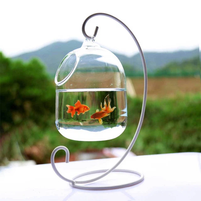 Hanging Transparent Glass Aquarium Fish Bowl