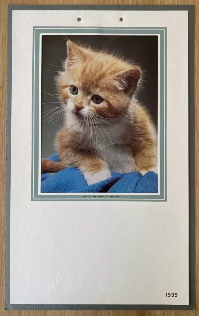 Mid Century Calendar Sample Photo Print Kitten Business Advertising Ephemera