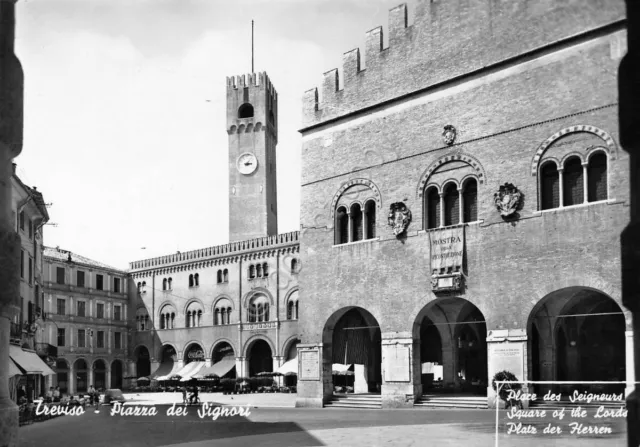 Cartolina Treviso Piazza dei Signori