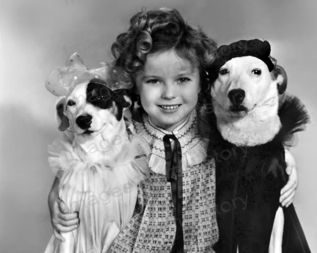 8x10 Print Shirley Temple Posing with Adorable Dogs #6672