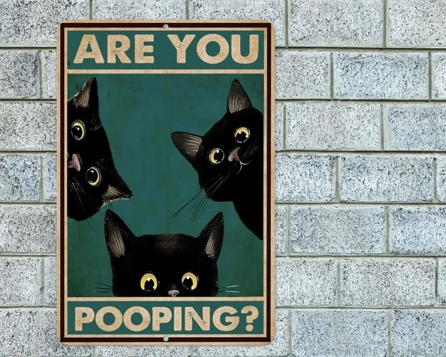 Are You Pooping Black Cats Sign Aluminum Metal 8"x12" Funny Rustic Bathroom