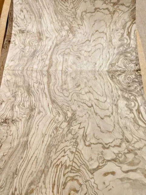 Olive Ash Burl real wood veneer 10" x 16" with paper backer AA grade 1/40" thick