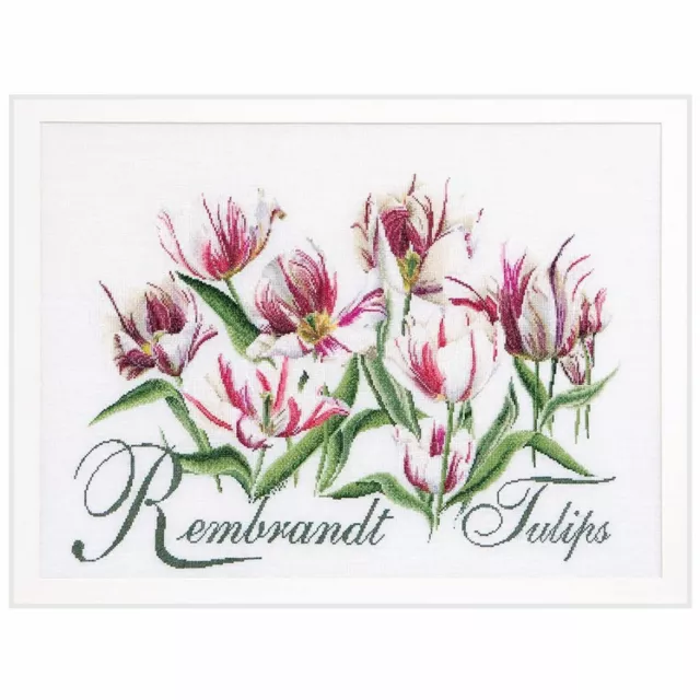 Kit point de croix  Rembrandt Tulips 447  Thea Gouverneur  Lin