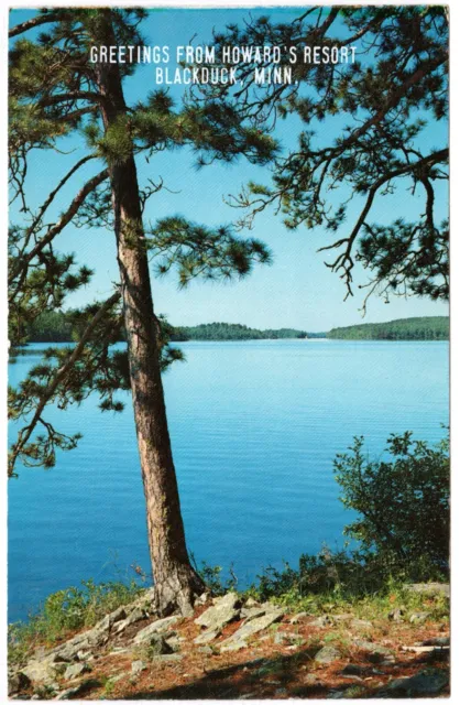 Postcard - Blackduck, Minnesota - Greetings Howard's Resort, Pines 1964 (M3j)